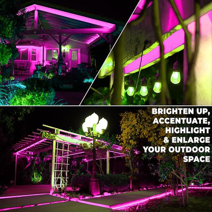 WYZworks 1116LEDs 100ft LED Outside Rope Lights, Outdoor ETL Certified Waterproof Permanent 360 Degree Light Emitting, Flexible Tube, Connectable, Christmas Palm Tree Exterior Landscape, Pink