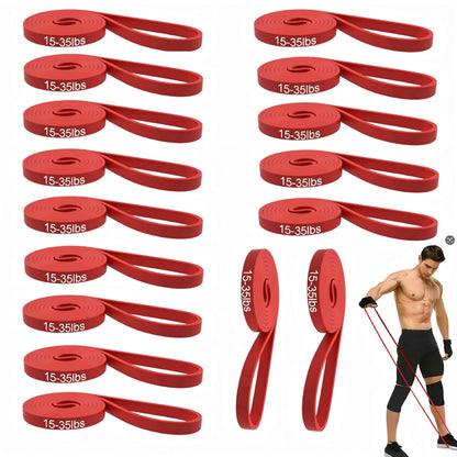 16-Pcs Resistance Bands Set - Premium Elastic Workout Bands for Home Gym, Strength Training, Yoga & Physical Therapy (Red(15-35 lbs))
