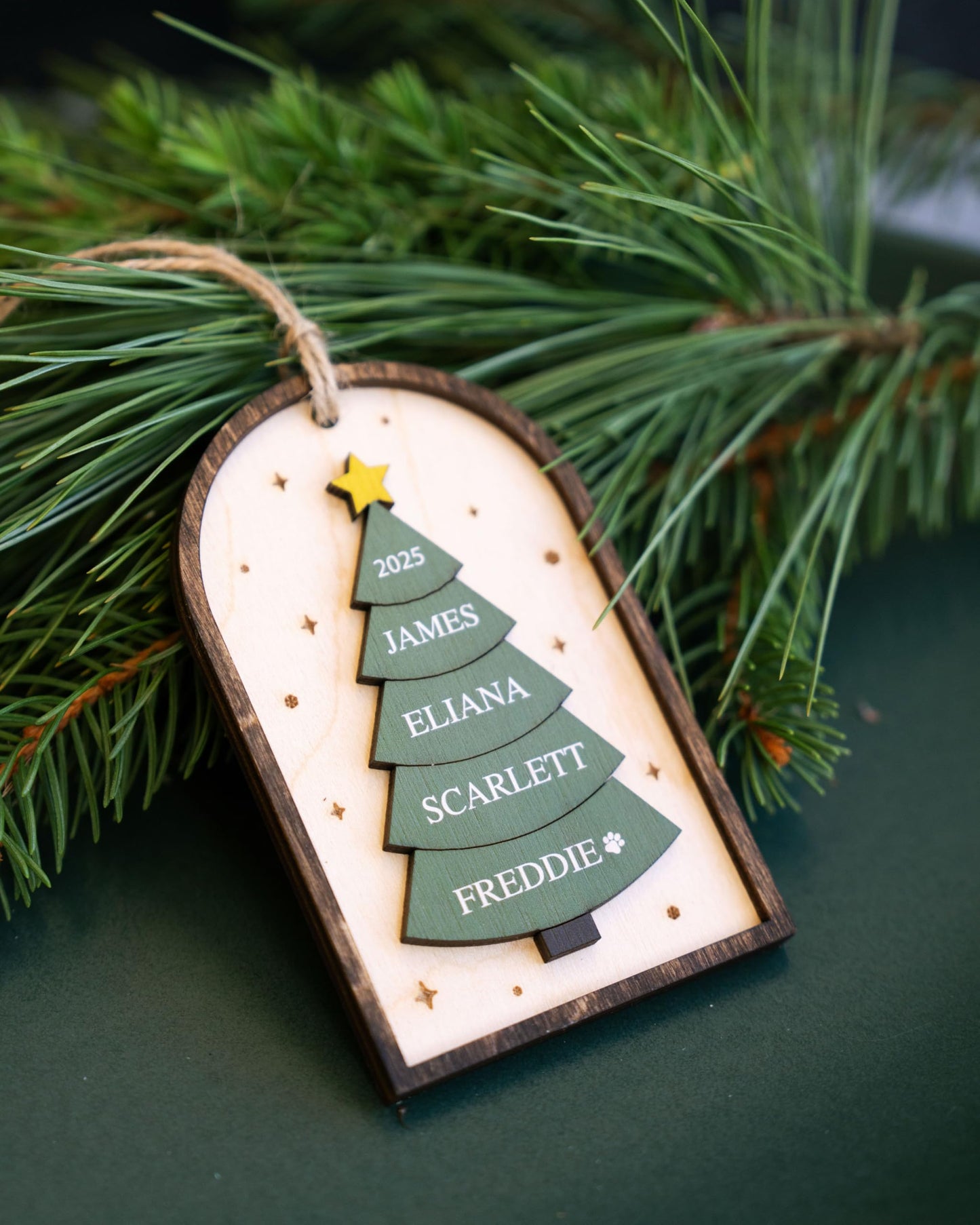 Family Christmas Ornament - 2025 Personalized 3D Ornament with Names