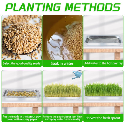 WBCBEC Plant Germination Trays, Stainless Steel Plant Trays Stainless Metal Trays Stainless Steel Seed Starter Carry Trays Nursery Seedling Pots Water Collection Transplantation (6PCS)