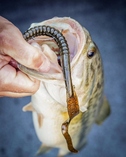 Berkley PowerBait Fishing Soft Worms - Durable, Realistic Lures for Freshwater Angling