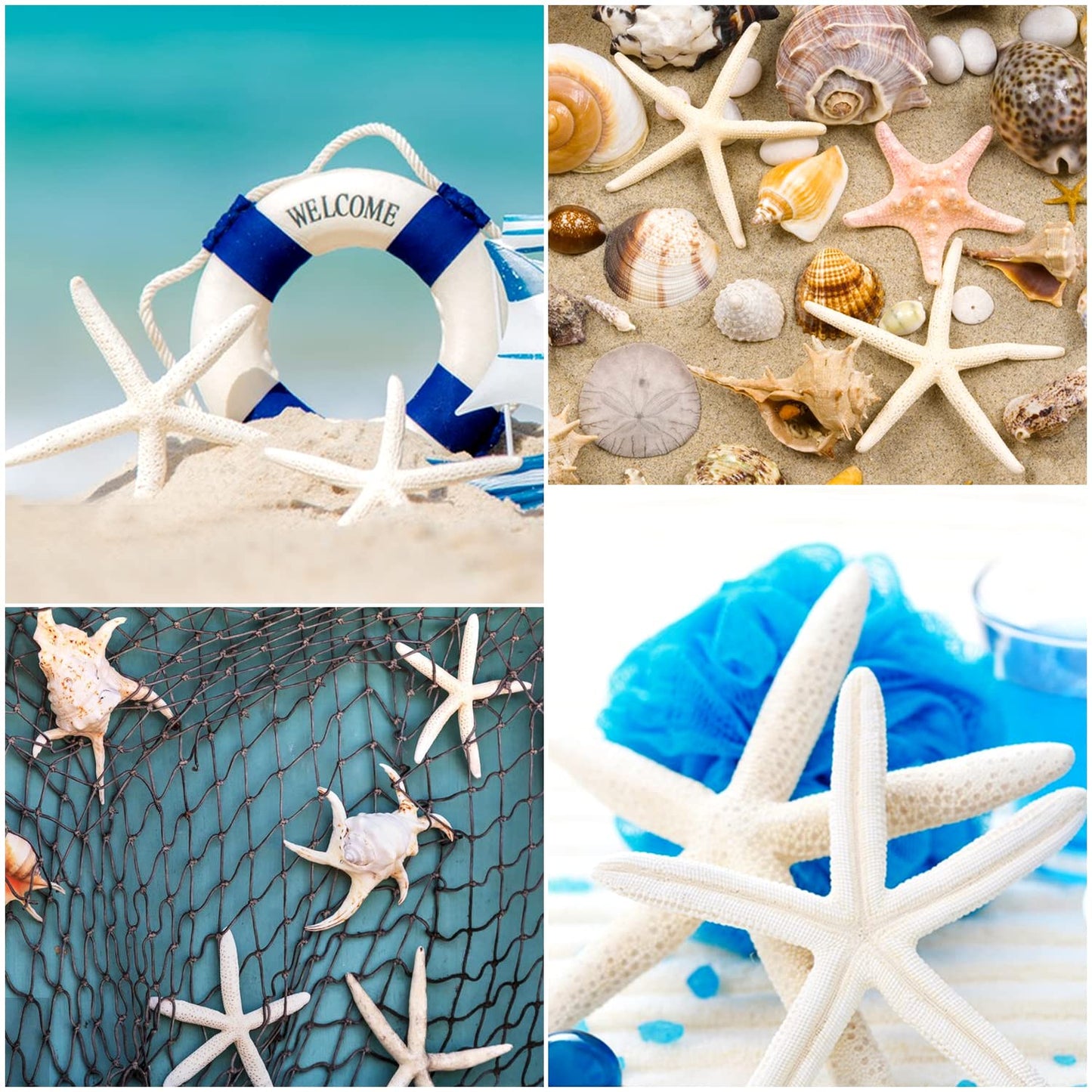 Jangostor 20 PCS Starfish, 2.5" to 4" Natural Seashells Starfish Star Fish Shells Decorations White Starfish Ornaments Perfect for Wedding Beach Theme Party Home Decorations, DIY Crafts, Fish Tank