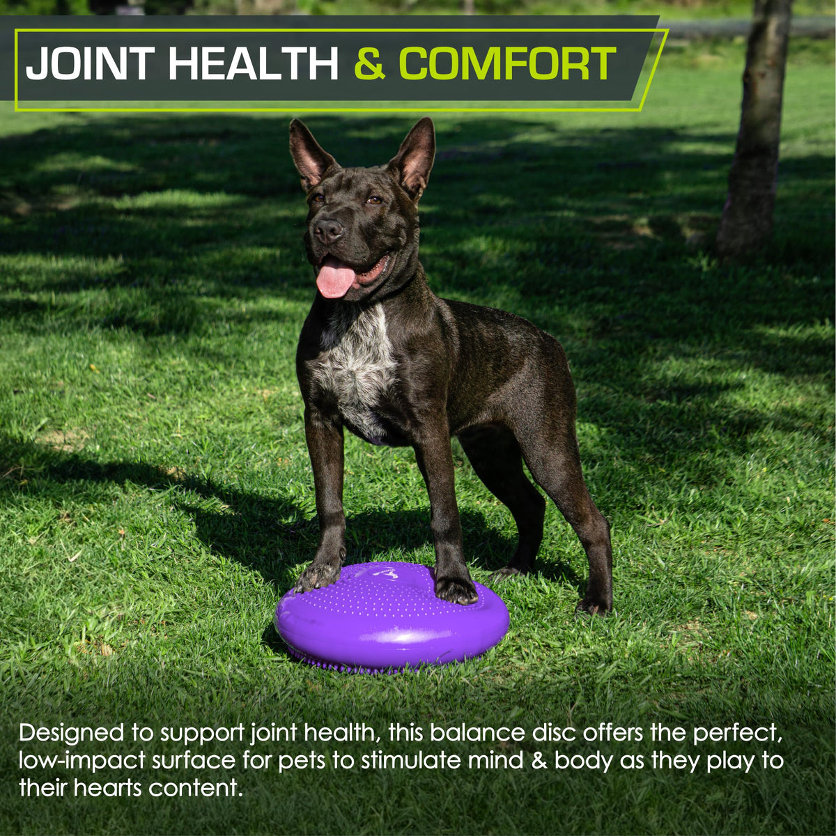 ProsourceFit Core Balance Disc Trainer, 14” Diameter with Pump for Improving Posture, Fitness, Stability