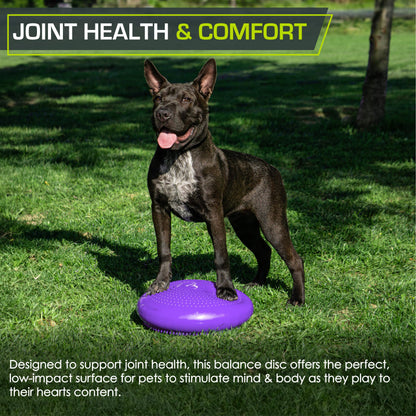 ProsourceFit Core Balance Disc Trainer, 14” Diameter with Pump for Improving Posture, Fitness, Stability