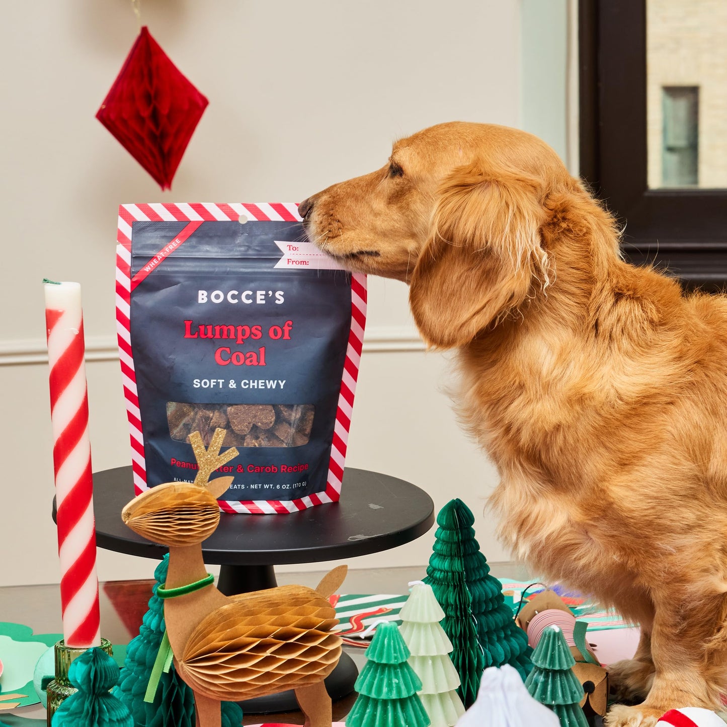Bocce’s Bakery Holiday Soft & Chewy Bundle Dog Treats, All-Natural Wheat-Free Christmas Dog Treats, 6 oz (Pack of 3)