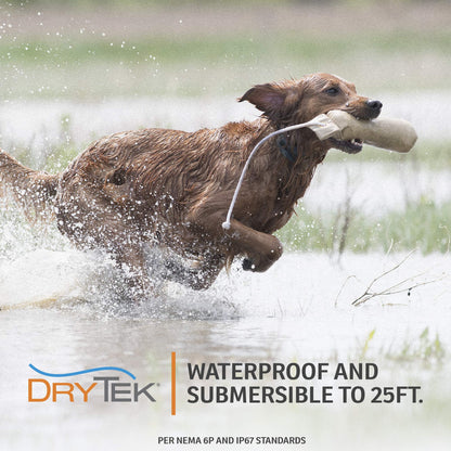 SportDOG Brand FieldTrainer 425X Remote Trainer - 500 Yard Range - Waterproof, Rechargeable Dog Training Collar with Static, Vibrate, and Tone