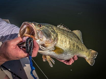 Berkley PowerBait Fishing Soft Worms - Durable, Realistic Lures for Freshwater Angling