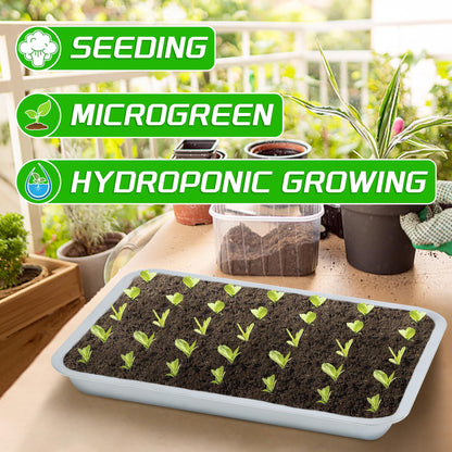 WBCBEC Plant Germination Trays, Stainless Steel Plant Trays Stainless Metal Trays Stainless Steel Seed Starter Carry Trays Nursery Seedling Pots Water Collection Transplantation (6PCS)