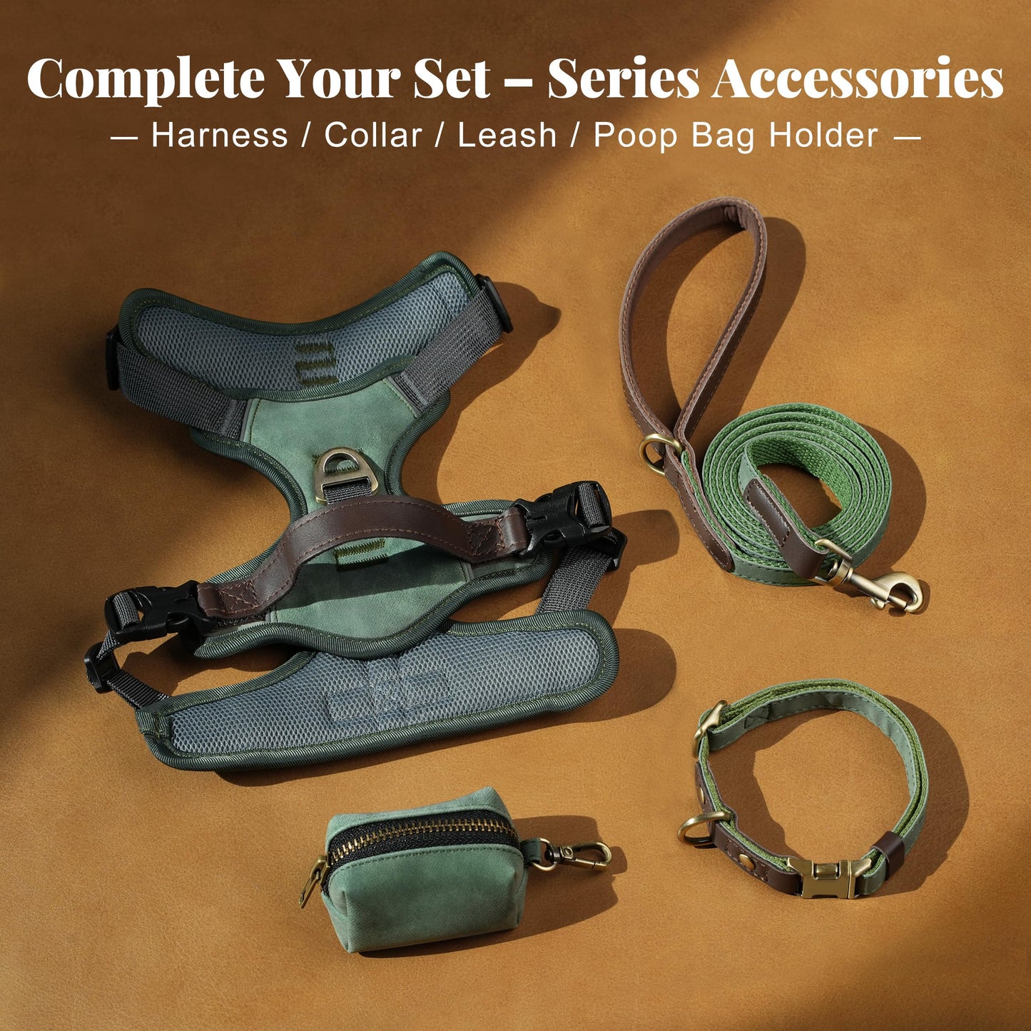 Didog No Pull Dog Harness Small Sized Dog,Classic PU Leather Vest for Small Dogs with Easy Control Handle,No Choke Front Clip,Reflective & Adjustable for Walking,Green,Chest 19-24"