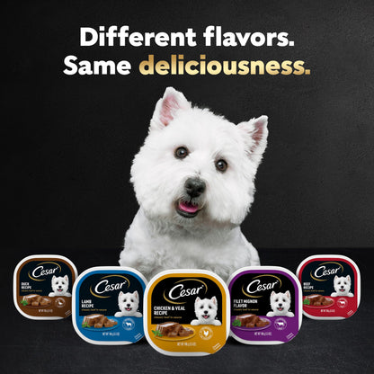 Cesar Wet Dog Food Classic Loaf in Sauce Filet Mignon and Porterhouse Steak Flavors Variety Pack, 3.5 oz. Easy Peel Trays (12 Count, Pack of 2)