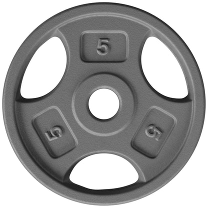 Yes4All 1 Inch Grip Cast Iron Weight Plates for Dumbbells – Standard Weight Plates - 5lb - Single