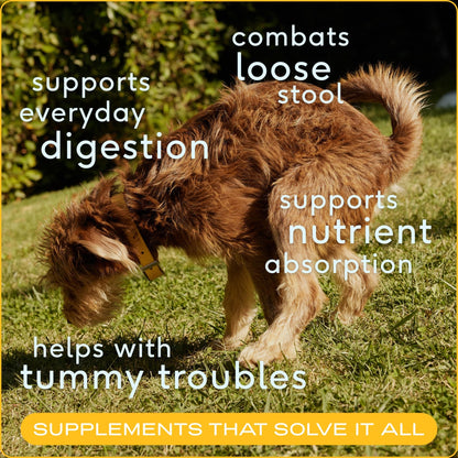 Native Pet Pumpkin for Dogs - Organic Powder Pumpkin Puree Dog Food Toppers -Rich in Fiber Supplement Powder Helps with Digestion, Nutrient Absorption, Diarrhea, Constipation & Upset Stomach-30 Scoops