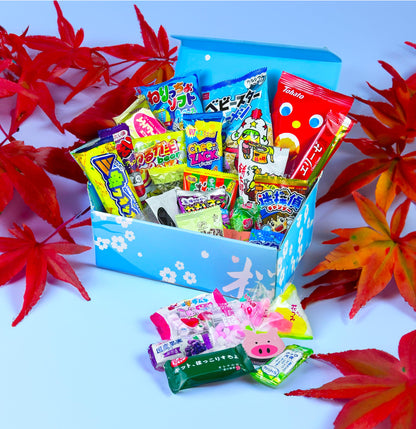 Japanese Snacks & Candy Dagashi with English Pamphlet 30 Pieces Custom Gift Set (Box)