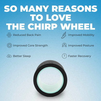 Chirp Wheel Foam Roller – Targeted Back & Neck Relief, Lumbar Spine Stretcher, Spinal Decompression Back Stretcher, Massage Roller with Density Foam for Physical Therapy, Supports 500lbs, 2-Inch Mint