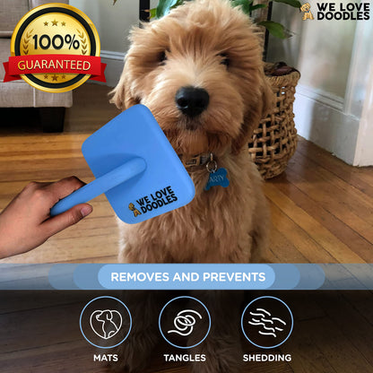 Slicker Brush for Dogs, Dog Grooming Supplies - Best Doodle & Poodle Brush for Long Haired Dogs - Goldendoodle Long Pin Detangler For Dematting (Large Curved)