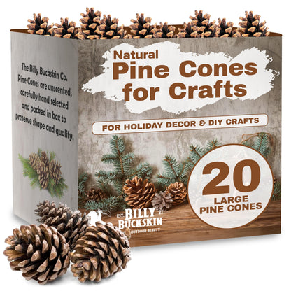 20 Large Natural Pine Cones for Crafts, 3" to 4" Tall Pine Cones Craft for Table, Home Decor, Vase Fillers, Desk & Christmas Trees, Unscented Pinecones Crafts Ornament for Decorating by Billy Buckskin