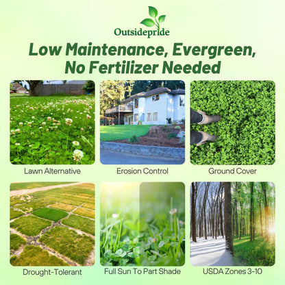 Outsidepride Perennial White Dutch Clover Seed - 1/4 lbs. Nitrocoated, Inoculated Clover Seeds for Lawn Alternative, Erosion Control, Food Plots, Ground Cover, & Pasture Mixtures in USDA Zones 3-10
