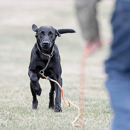 SportDOG Orange Check Cord - High-Visibility Floating Check Cord - Lightweight Tangle-Free Long Dog Training Lead with Heavy-Duty Brass Snap