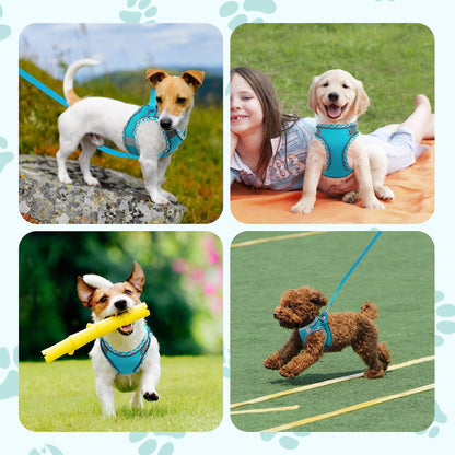 No Pull Dog Harness and Leash Set - Adjustable Reflective Breathable Mesh Step in Easy Walk for Extra Small/Small Medium Cats Puppy Outdoor Hiking Training (Orange L)