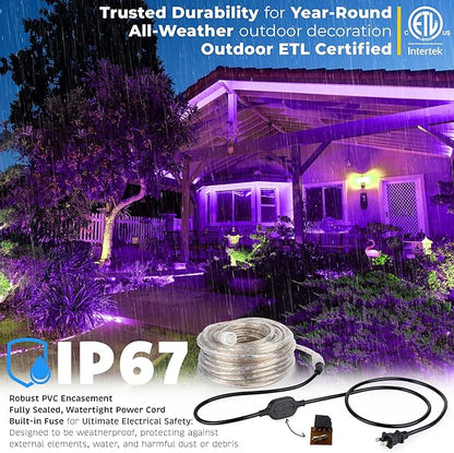WYZworks 1116LEDs 100ft LED Outside Rope Lights, Outdoor ETL Certified Waterproof Permanent 360 Degree Light Emitting, Flexible Tube, Connectable, Christmas Palm Tree Exterior Landscape, Purple