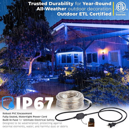 WYZworks 1656LEDs 150ft LED Outside Rope Lights, Outdoor ETL Certified Waterproof Permanent 360 Degree Light Emitting, Flexible Tube, Connectable, Christmas Palm Tree Exterior Landscape, Blue