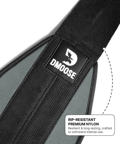 DMoose Fitness Hanging Ab Straps for Pull Up Bar & Core Strength Training - Soft Padded Exercise Straps for Ab Swing & Leg Raises, Hang Bar Strap with 2 Steel Carabiners - Abs Equipment for Home & Gym
