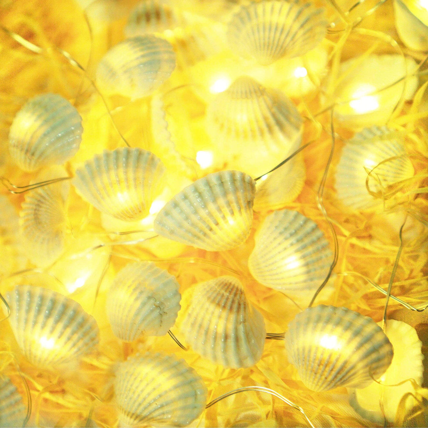 Cynzia Natural Seashells String Lights, 40LED Beach Decoration USB Plug in with 8 Modes Remote Control, Waterproof Ocean Fairy Lights for Bedroom Party Indoor Outdoor Wedding Holiday Christmas