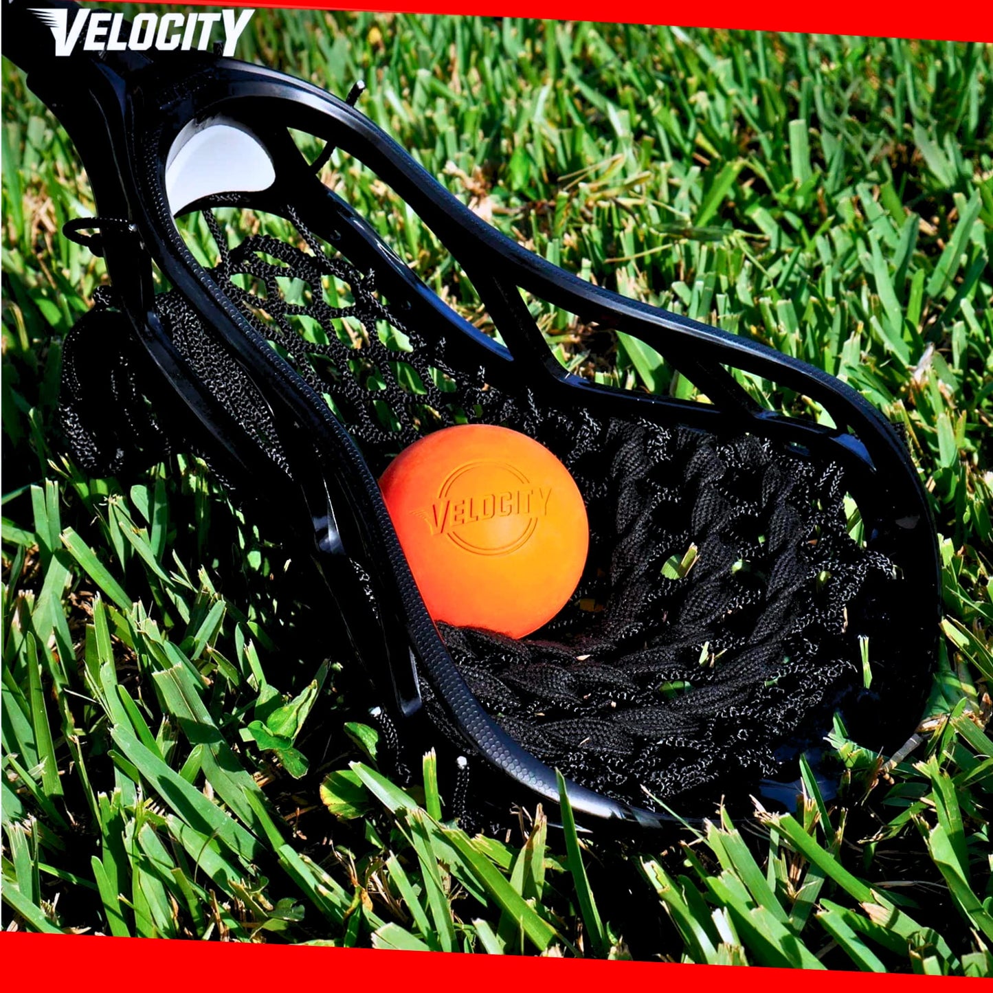 Velocity Practice Lacrosse Balls - 1, 2, 3, 6, 12, 18, 24, 36, 60 and 120 Packs - Official Size and Weight - Yellow