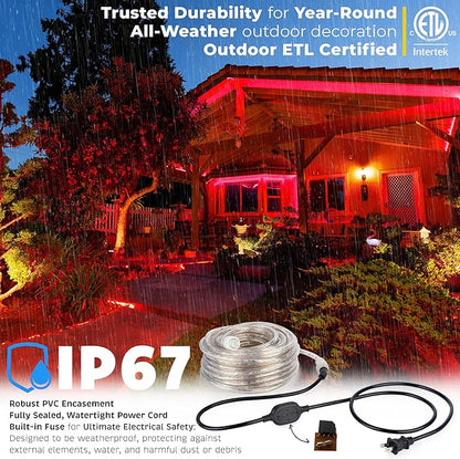WYZworks 288LEDs 25ft LED Outside Rope Lights, Outdoor ETL Certified Waterproof Permanent 360 Degree Light Emitting, Flexible Tube, Connectable, Christmas Palm Tree Exterior Landscape, Red