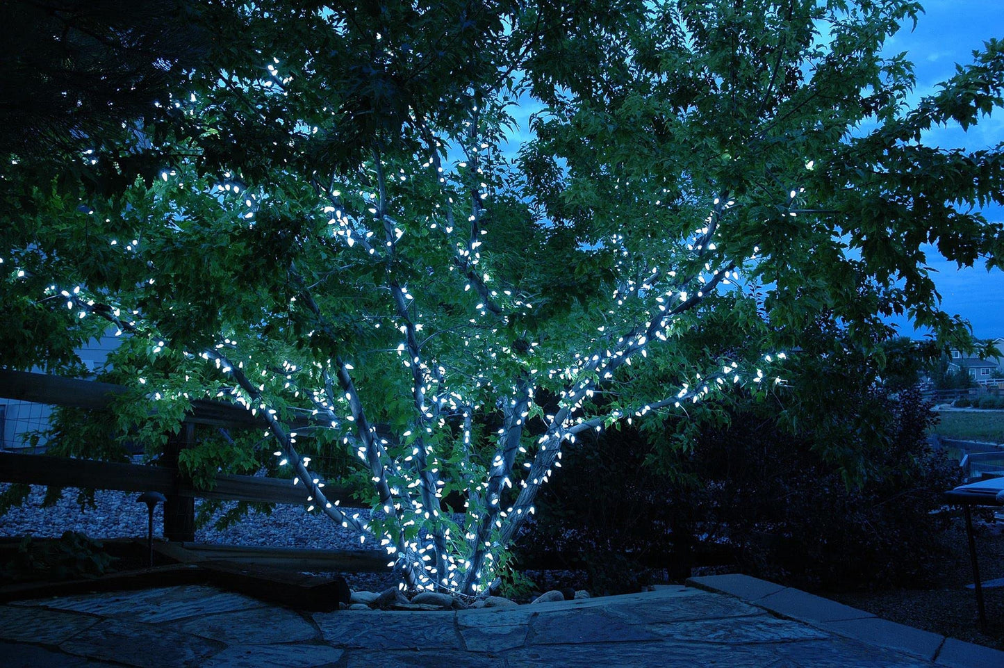 Novelty Lights 24FT 70 LED C6 Christmas String Lights, Outdoor Commercial Grade Tree Decorations, Permanent LED Lights (Pure White)