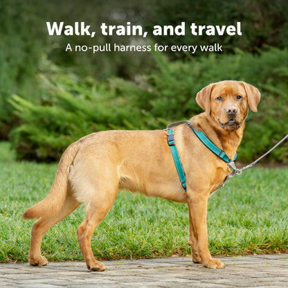 PetSafe 3 in 1 Dog Harness - No Pull Solution for Dogs - Reflective Dog Harness - Front D-Ring Clip Helps Stop Pulling - Comfortable Padded Straps - Top Handle Enhances Control - Teal - Small