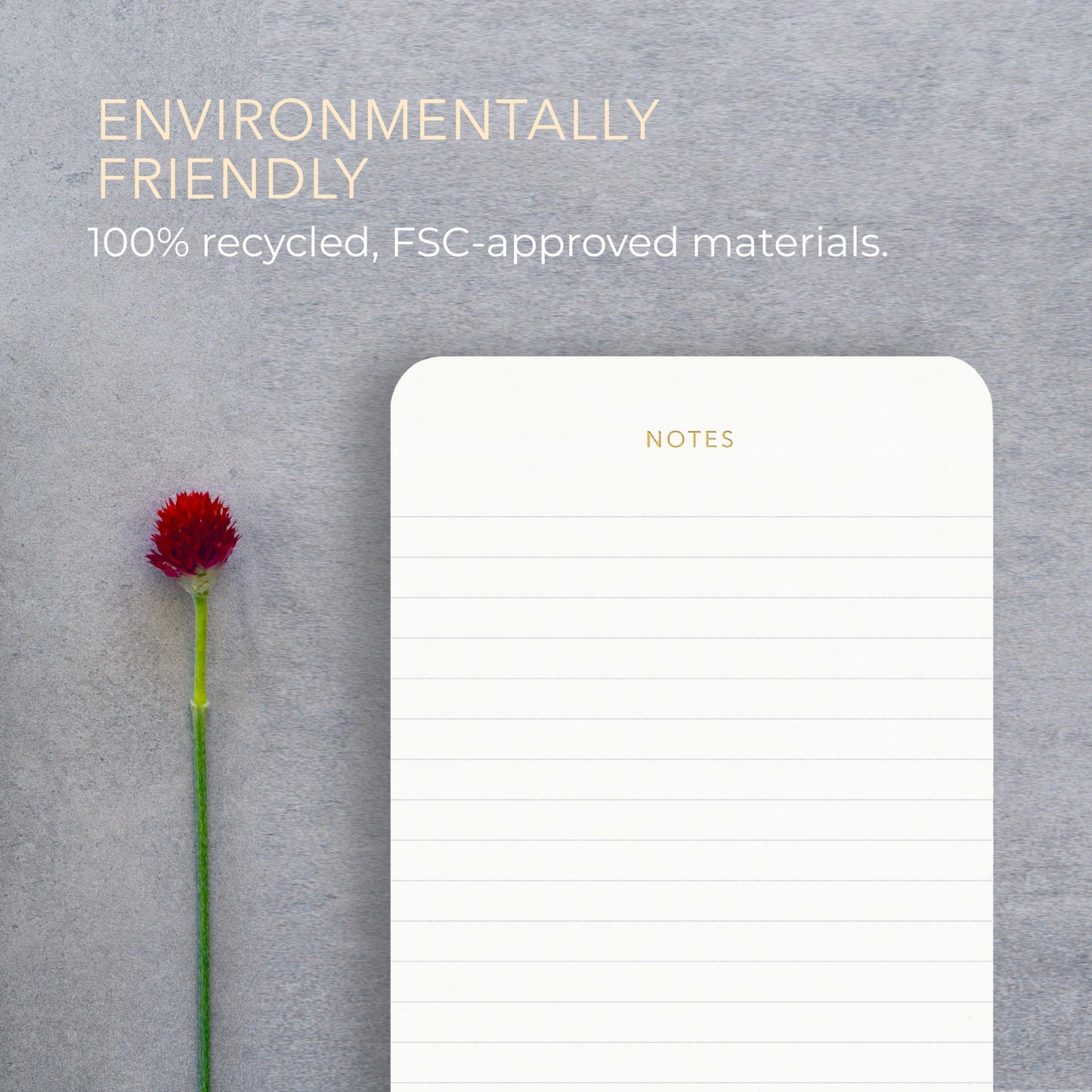 Pinesman - Elegant Desk Notepads for Professionals, Executive's Memo Pads, Minimalist, Gold Foiled, Lined Layout, 3 Pack, 225 Sheets Total (75 Each), 6.3" x 3.9”, 80 GSM, Eco-friendly, FSC™ Certified