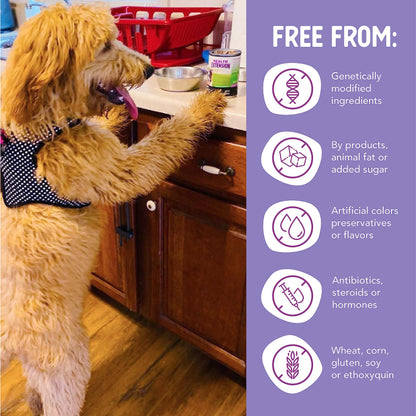 Health Extension 95% Chicken Entrée Wet Dog Food Grain-Free – 5.5 oz – Protein-Rich Formula, Hydration Support, Ideal for Sensitive Stomachs (Case of 24 Cans)