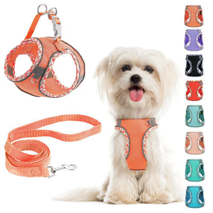 No Pull Dog Harness and Leash Set - Adjustable Reflective Breathable Mesh Step in Easy Walk for Extra Small/Small Medium Cats Puppy Outdoor Hiking Training (Orange L)