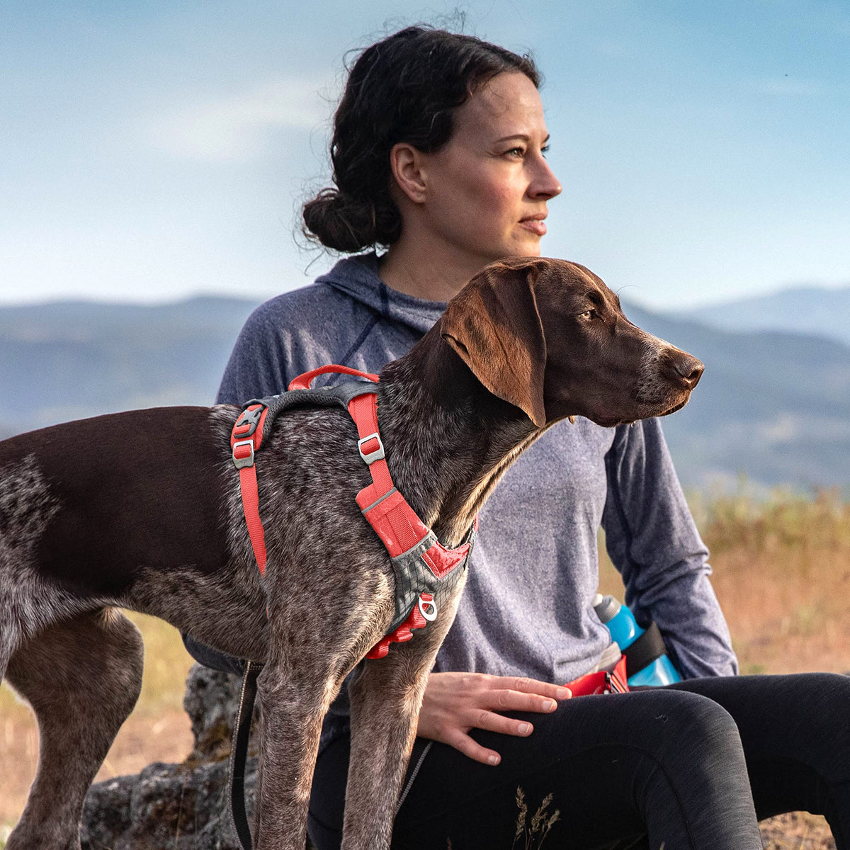 Kurgo Journey Air Dog Harness, Vest Harnesses for Dogs, Pet Hiking Harness for Running & Walking, Reflective, Padded, Includes Control Handle, No Pull Front Clip (Coral, Medium)