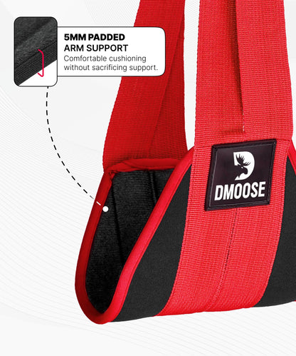 DMoose Fitness Hanging Ab Straps for Pull Up Bar & Core Strength Training - Soft Padded Exercise Straps for Ab Swing & Leg Raises, Hang Bar Strap with 2 Steel Carabiners - Abs Equipment for Home & Gym