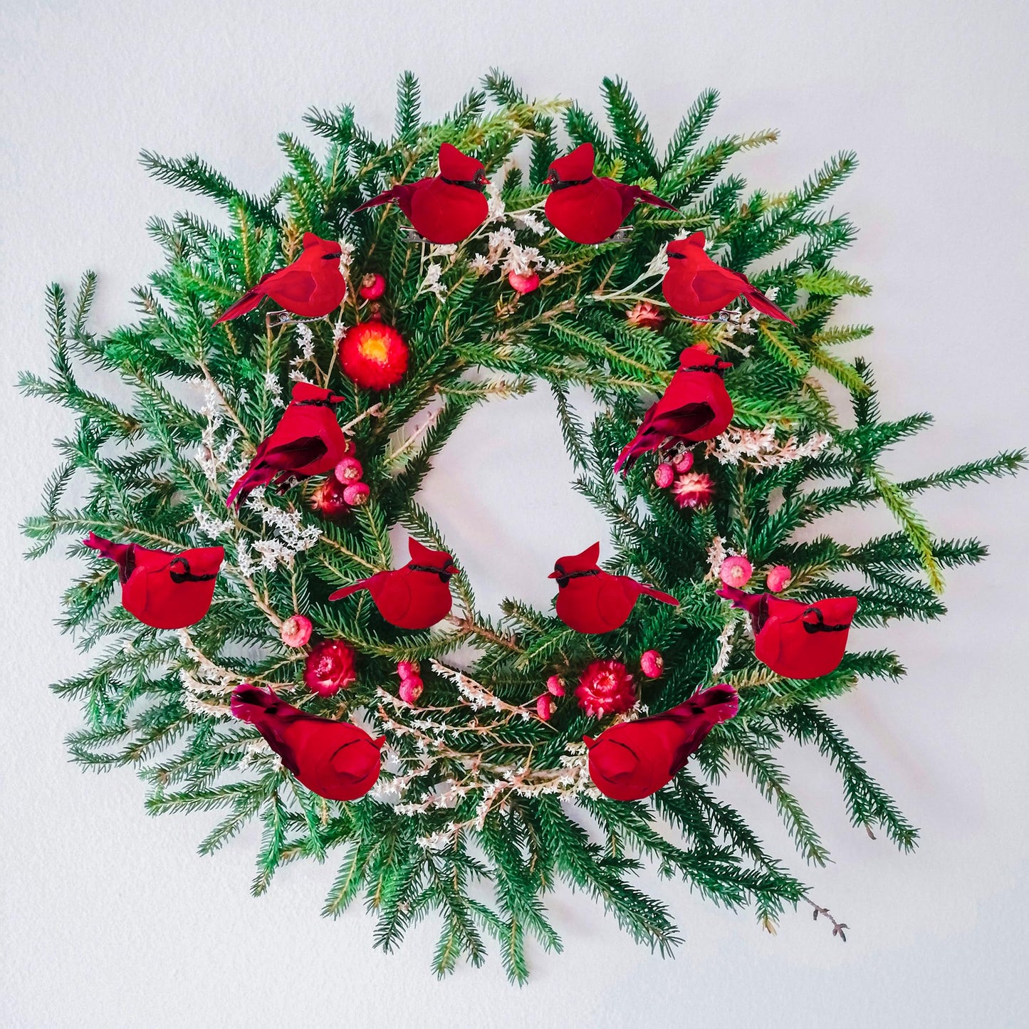 Cartanfill-Cardinal Clip On Christmas Tree Ornament Decorations, Set of 12, Red Feather Birds, 3 inches Long