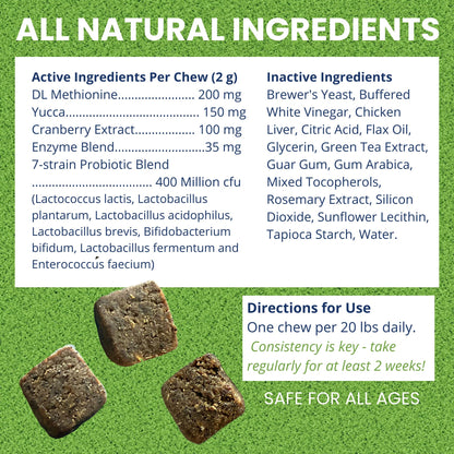 Under the Weather Nice Grass Chews for Dogs | Digestive Enzymes for Dogs | Canine Urine Neutralizer for Grass | Probiotics for Digestive Health | Vet Formulated Lawn Care Supplement | 60 Count