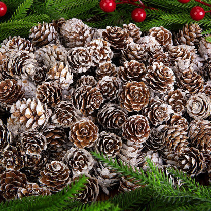 Deloky 150 Pcs Christmas Natural Mini Pine Cones- 1" Small Christmas Snow Pinecones Ornaments- Thanksgiving Mini Snow Pinecones for DIY Crafts Vase Fillers Fall Winter Home Christmas Tree Decor