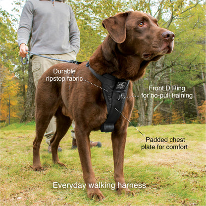 Kurgo Tru-Fit Smart Harness, Dog Harness, Pet Walking Harness, Quick Release Buckles, Front D-Ring for No Pull Training, Includes Dog Seat Belt Tether (Black, Medium)