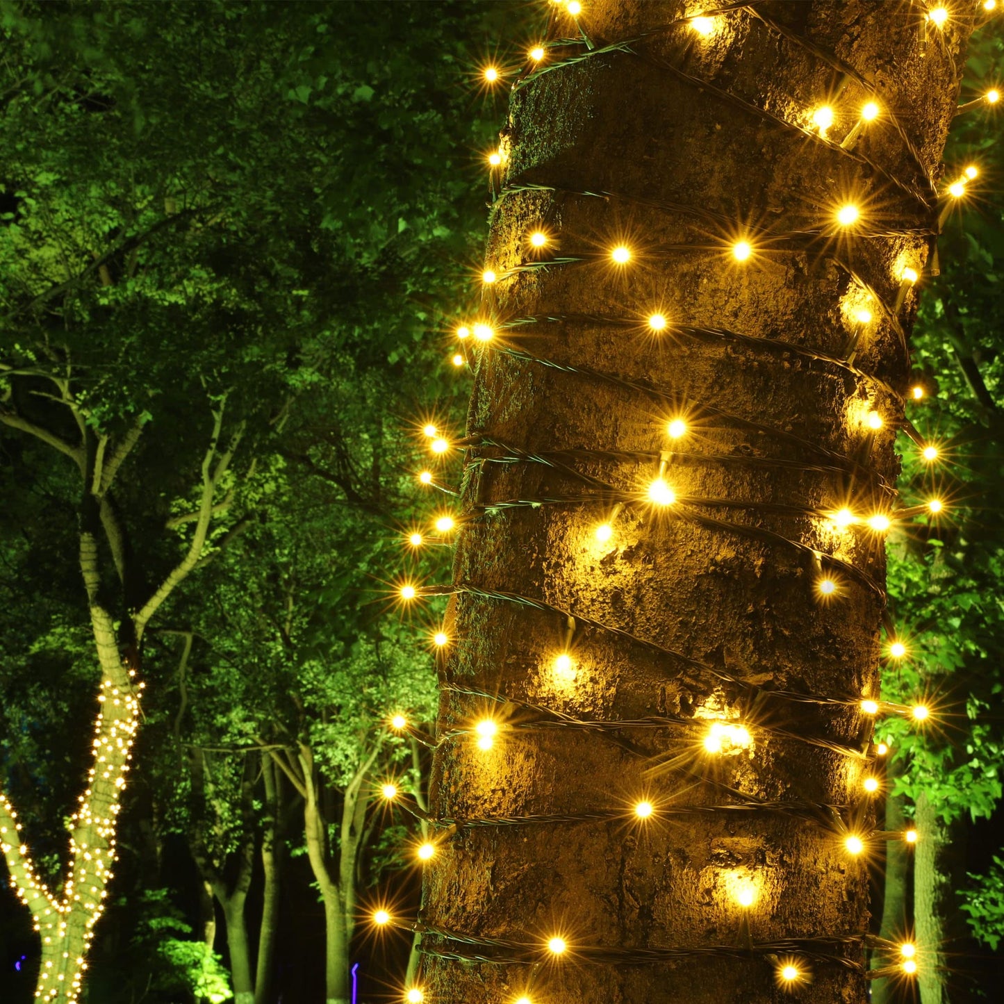PMS 100-1000 LED Christmas Lights, Low Voltage Fairy String Lights with 8 Modes, Ideal for Xmax Tree, Garden, Home, Party, Halloween Festival Deco (Warm White, 1000 LEDs)