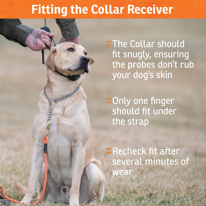SportDOG Brand FieldTrainer 425X Remote Trainer - 500 Yard Range - Waterproof, Rechargeable Dog Training Collar with Static, Vibrate, and Tone