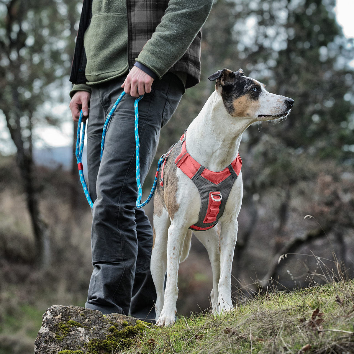 Kurgo Journey Air Dog Harness, Vest Harnesses for Dogs, Pet Hiking Harness for Running & Walking, Reflective, Padded, Includes Control Handle, No Pull Front Clip (Coral, Medium)