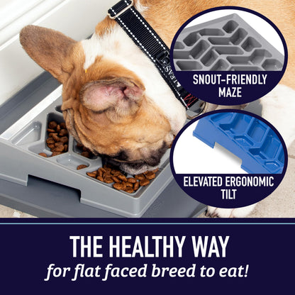 Leash Boss Tilted Slow Feeder Dog Bowl – French Bulldog Slow Feeder - Frenchie Dog Bowl for Flat-Faced, Flat-Nosed French Bulldogs, Pugs, Boston Terriers - Dishwasher Safe