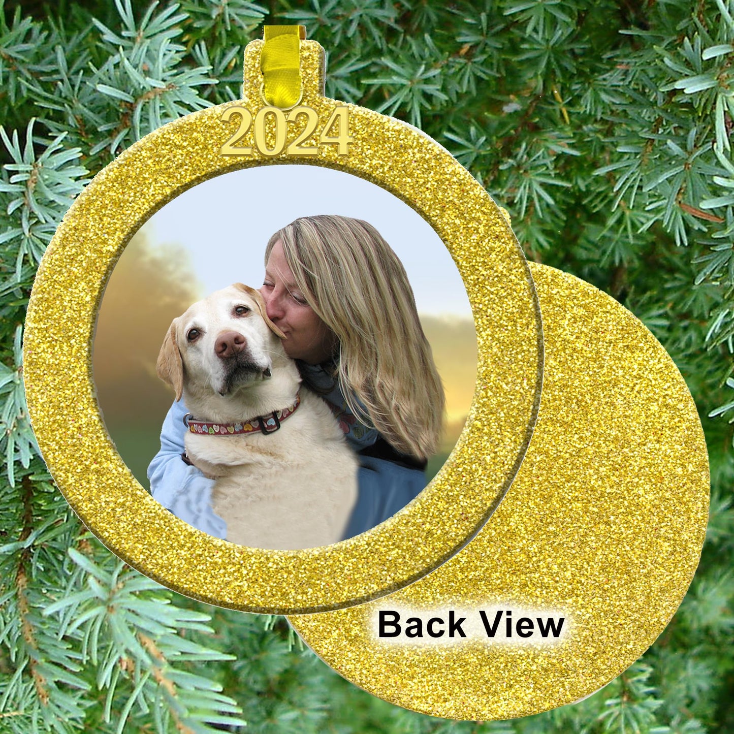 2024 Photo Ornaments for Christmas Tree, Sparkly Glitter Christmas Frame Ornament, Easy-Load Magnetic Design, Includes Satin Ribbon with Gold Charm Plus Photo Protector, Round, Gold