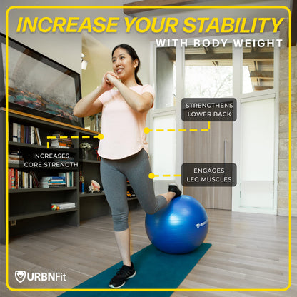 URBNFit Exercise Ball - Yoga Ball in Multiple Sizes for Yoga, Pilates, Pregnancy, Stability - Anti-Burst Swiss Balance Ball w/Quick Pump – Office Ball Chair for Home and Gym – 26 Inch - Black
