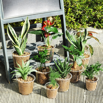 Hemikaki 60 Pack 4/5/6 Inch Clear Nursery Pots with Drainage Holes, Transparent Plastic Plant Pots, Reinforced Seed Starter Flower Pots, Comes with 50pcs Plant Labels