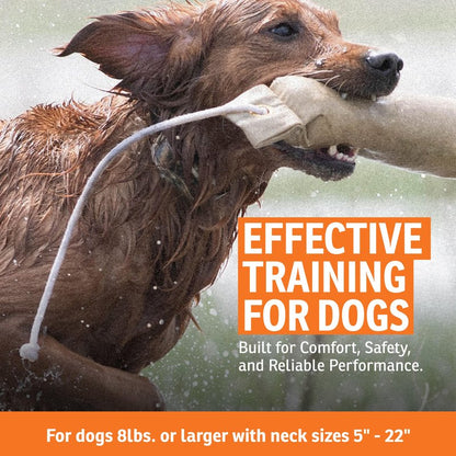 SportDOG WetlandHunter 425X Add-A-Dog Collar - Expandable Training System - Waterproof Static Shock Collar - Quick Charge - Realtree Max-5 Camo