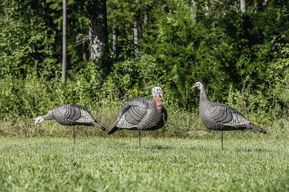 Turkey Decoys 3-Pack Combo Set - Realistic Flock Jake & Feeding Hen | Foldable Hollow Body