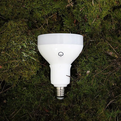 BR30 Smart Light